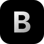 Blink AI CFO