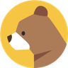 BrainyBear