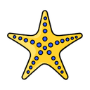Dbhub