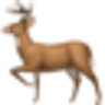 DeerFlow