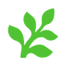 Fern Docs