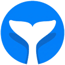 Intempt