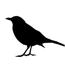 LakonLab