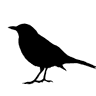 LakonLab