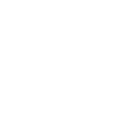 Lark