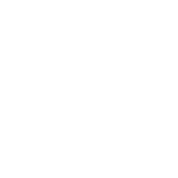 Rig