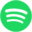 Spotify DJ