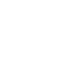 Wisibl