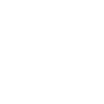 Wisibl