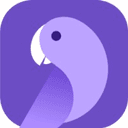 CodeParrot