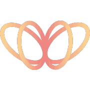 DataMorf