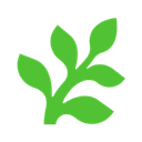 Fern Docs