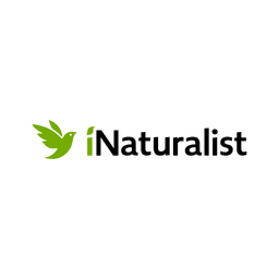 iNaturalist