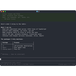 Pi Coding Agent