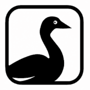 Snow Goose