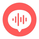 Voice Recorder & Notes Pro