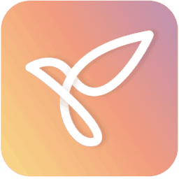 Youper