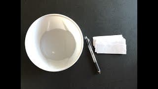 How To Play Fishbowl