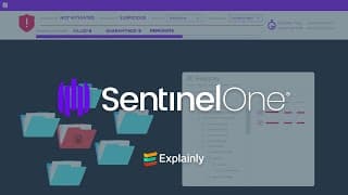 SentinelOne Singularity XDR: Resolve | Animated Explainer Video